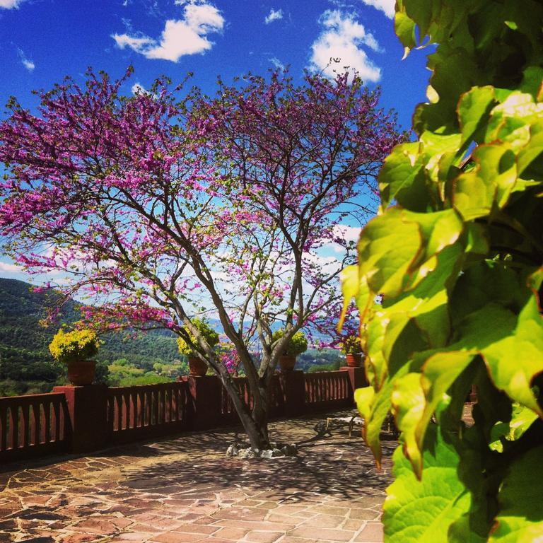 Masia Vista Hermosa Vallromanes Exterior foto