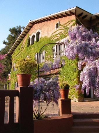 Masia Vista Hermosa Vallromanes Exterior foto